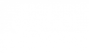 GLOBAL LANDSCAPE